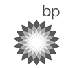 https://www.blh-dom.com/wp-content/uploads/2019/06/bp-logo.png